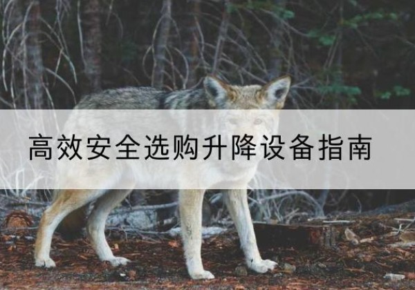 习水升降货梯厂家推荐-*安全选购升降设备指南