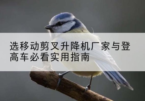 习水电动升降机厂家-选移动剪叉升降机厂家与登高车必看实用指南